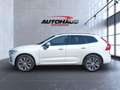 Volvo XC60 B4 (Benzin) Momentum Pro 2WD Automatik Navi Alb - thumbnail 7