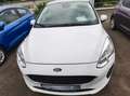 Ford Fiesta Trend Cool & Sound eCall Klima Parkpilot hinten Weiß - thumbnail 4