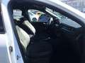 Ford Kuga 2.5 Duratec PHEV ST-LINE X Panorama AHK Blanc - thumbnail 14