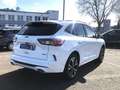 Ford Kuga 2.5 Duratec PHEV ST-LINE X Panorama AHK Blanc - thumbnail 5