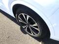 Ford Kuga 2.5 Duratec PHEV ST-LINE X Panorama AHK Blanc - thumbnail 9