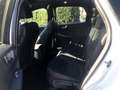 Ford Kuga 2.5 Duratec PHEV ST-LINE X Panorama AHK Blanc - thumbnail 12