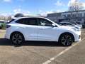 Ford Kuga 2.5 Duratec PHEV ST-LINE X Panorama AHK Blanc - thumbnail 4
