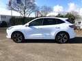 Ford Kuga 2.5 Duratec PHEV ST-LINE X Panorama AHK Blanc - thumbnail 8
