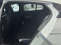 BMW 116 118d 5p. MSport F70 Bianco - thumbnail 13