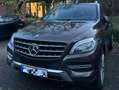 Mercedes-Benz ML 350 ML 350 BlueTEC 4MATIC 7G-TRONIC Braun - thumbnail 1