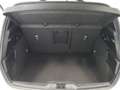 Ford Focus 1.0 Ecoboost MHEV ST-Line 125 Blanco - thumbnail 23
