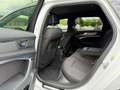 Audi A6 Avant 40 TDI sport Bianco - thumbnail 15