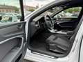 Audi A6 Avant 40 TDI sport Bianco - thumbnail 11