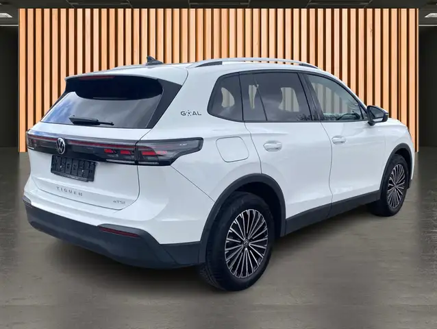 Volkswagen Tiguan view 10