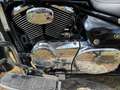 Suzuki VL 800 Top gepflegt – inkl. Kofferset und Navi Noir - thumbnail 13