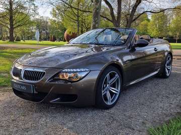 CABRIO LCI SEPANG BRONZE