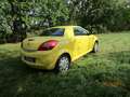 Opel Tigra Basis*Twin-Top-Sport*Cabrio*1.Hand* Yellow - thumbnail 6