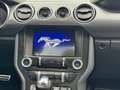 Ford Mustang 5.0 V8 GT / B&O / Performance pkg / ACC / Blau - thumbnail 32
