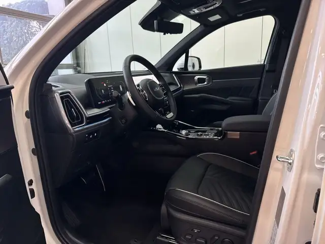 Kia Sorento view 12