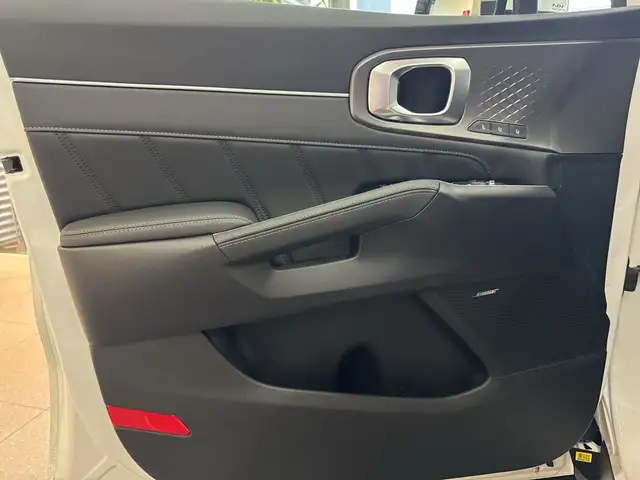 Kia Sorento view 11