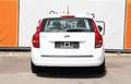 Kia Ceed SW / cee'd SW *Lpg Gasanlage*Inspektion Neu* Weiß - thumbnail 6