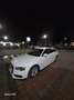 Audi A4 allroad quattro 2.0 TDI Weiß - thumbnail 5