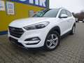 Hyundai TUCSON 25 Jahre 4WD Weiß - thumbnail 1