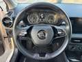Skoda Fabia Fabia 1.0 MPI 80 CV Ambition Bianco - thumbnail 13
