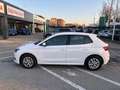 Skoda Fabia Fabia 1.0 MPI 80 CV Ambition Bianco - thumbnail 7