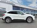 Ford Kuga Plug-In Hybrid Titanium Weiß - thumbnail 6