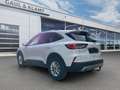 Ford Kuga Plug-In Hybrid Titanium Weiß - thumbnail 3