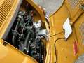 Fiat 500 L  SUPER RESTAURO Gelb - thumbnail 12
