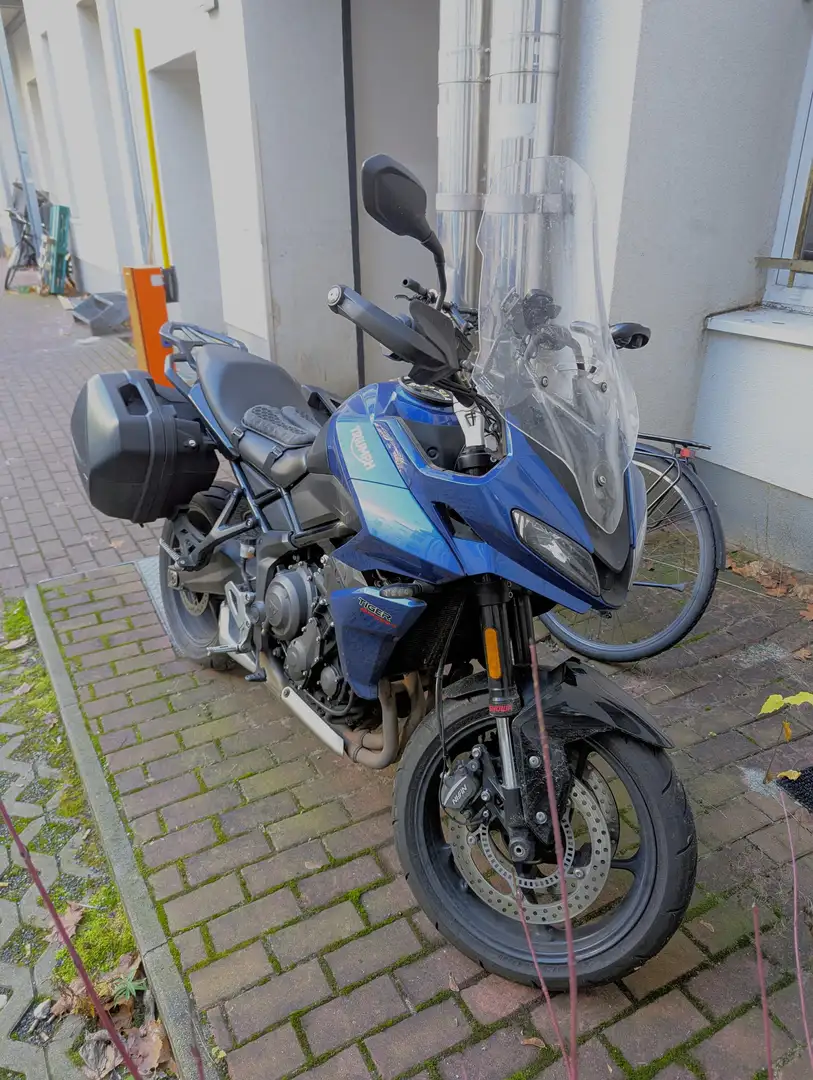 Triumph Tiger Sport 660 Bleu - 1