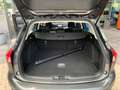 Ford Focus Wagon 1.0 125 PK Trend Edition | Navi | Apple Carp Grau - thumbnail 24