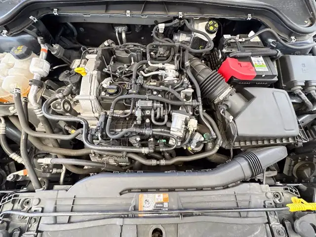 Ford Focus view 12