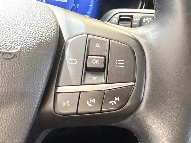 Ford Focus view 21