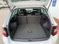 Skoda Fabia Combi 1.4 TDI Joy*SITZH*AHK* Weiß - thumbnail 17