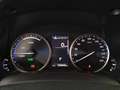 Lexus NX 300 300h Business 2WD - thumbnail 14