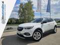 Opel Grandland X 1,5 CDTI BlueInjection Ultimate Start/Stopp Weiß - thumbnail 1