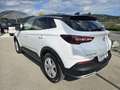 Opel Grandland X 1,5 CDTI BlueInjection Ultimate Start/Stopp Weiß - thumbnail 10