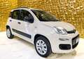 Fiat Panda Metano benzina Beige - thumbnail 1