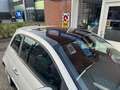 Fiat 500 1.2 51kW Aut. Panoramadak Wit - thumbnail 23