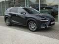 Lexus NX 300h Hybrid AWD Executive Line +LEDER +TREKHAAK Noir - thumbnail 29
