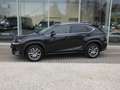 Lexus NX 300h Hybrid AWD Executive Line +LEDER +TREKHAAK Noir - thumbnail 5
