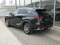 Lexus NX 300h Hybrid AWD Executive Line +LEDER +TREKHAAK Noir - thumbnail 6