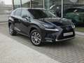 Lexus NX 300h Hybrid AWD Executive Line +LEDER +TREKHAAK Noir - thumbnail 28