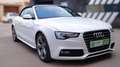 Audi A5 Descapotable Manual de 2 Puertas Weiß - thumbnail 3