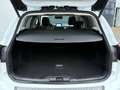 Ford Focus Wagon 2.0 150pk Autom. VIGNALE Pano Leder Camera Weiß - thumbnail 13