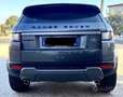 Rover Rover Evoque Black - thumbnail 3