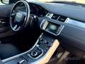 Rover Rover Evoque Black - thumbnail 8