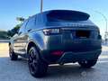 Rover Rover Evoque Black - thumbnail 5