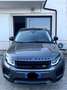 Rover Rover Evoque Black - thumbnail 4