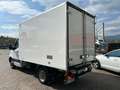 Mercedes-Benz Sprinter T37/35 315 CDI RWD FRIGO FNAX Blanco - thumbnail 4