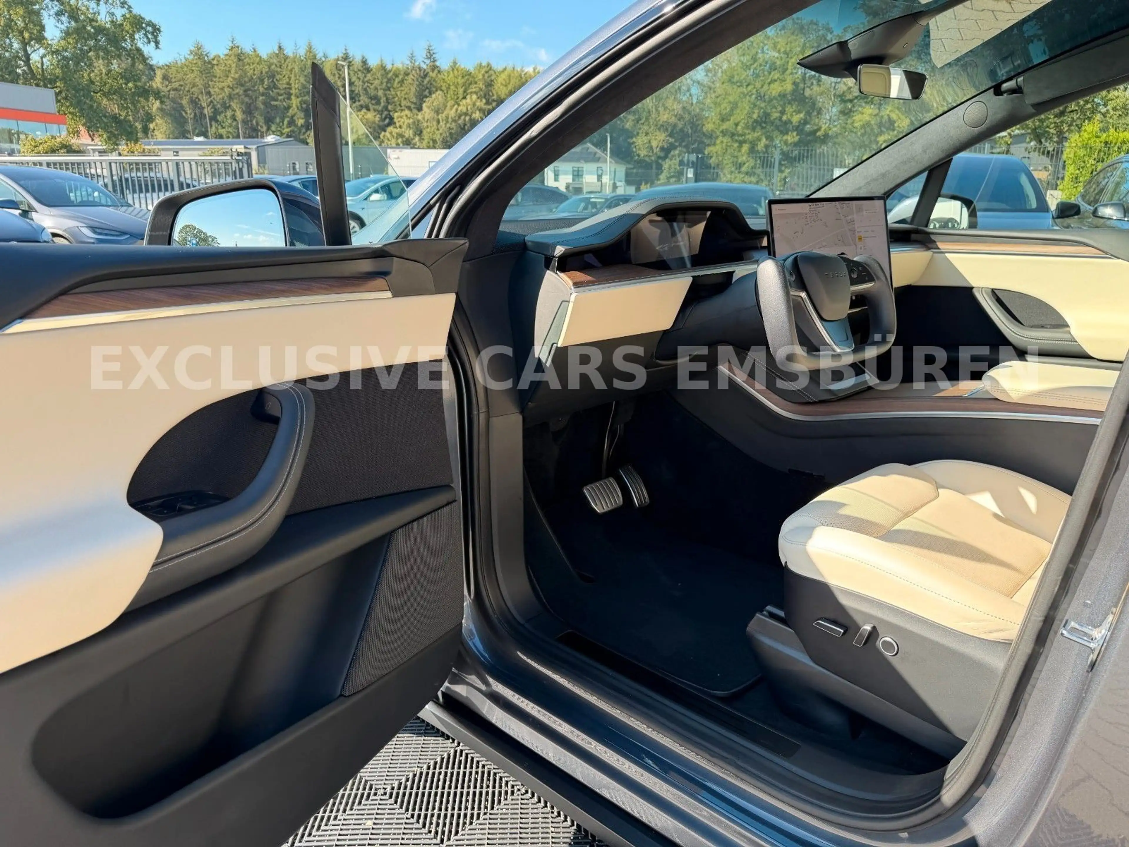 Tesla Model X MODEL X PALLADIUM | AUTOPILOT 4 AI | 7 SEATER — photo 10